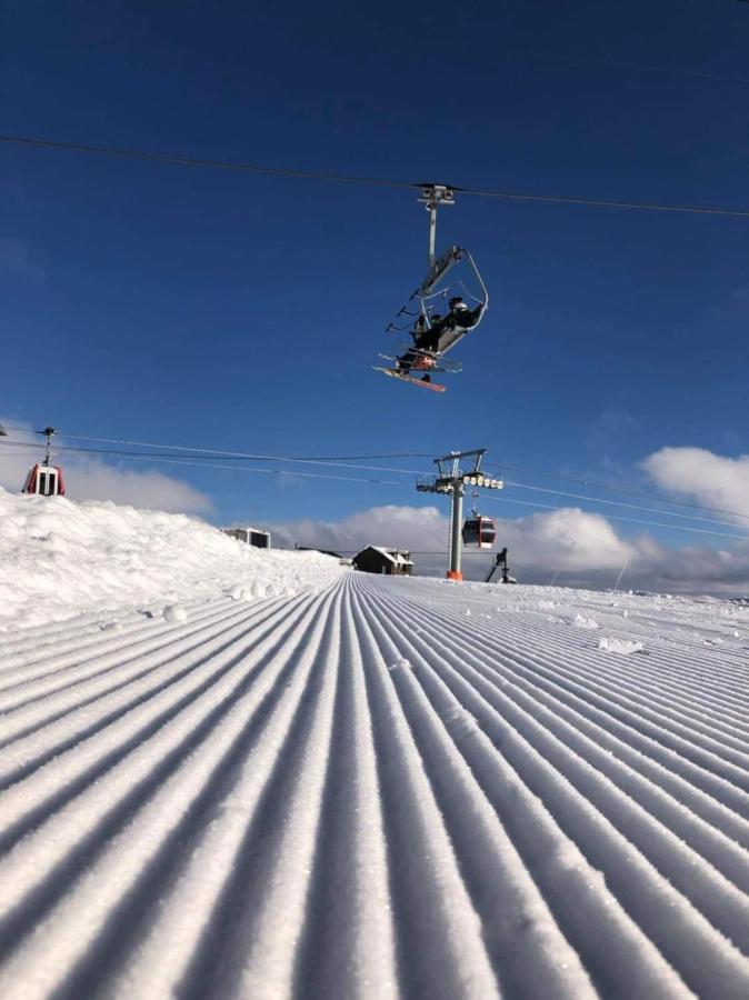New Gudauri Redco Twins-Premium Mountain Apartment Close The Gondola Lift Exteriör bild